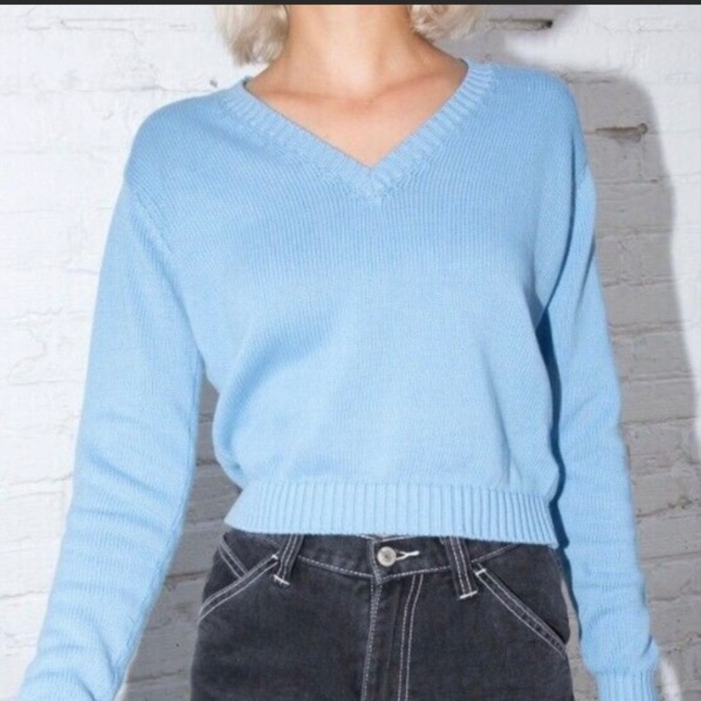 SUPER RARE Brandy Melville Blue Leigh Sweater